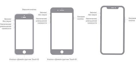 Полный гайд по созданию кнопки на iPhone