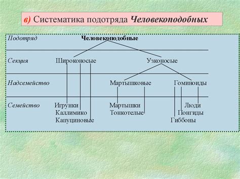 Положение человека в экосистеме