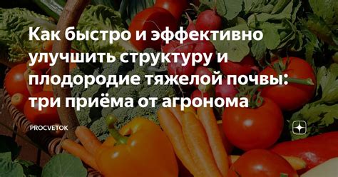 Положительные эффекты на структуру и плодородие