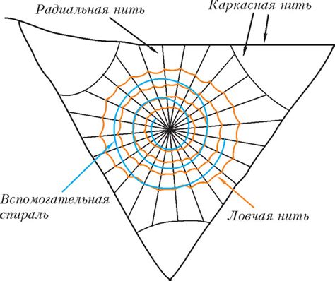 Получение нитья из паутины