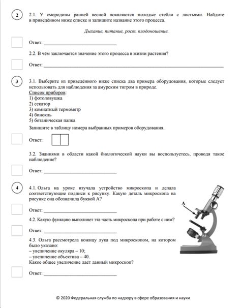 Получите готовые ответы на тест по биологии