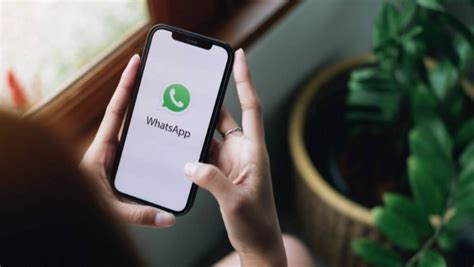 Получите мгновенный доступ к контактам через видеочат WhatsApp