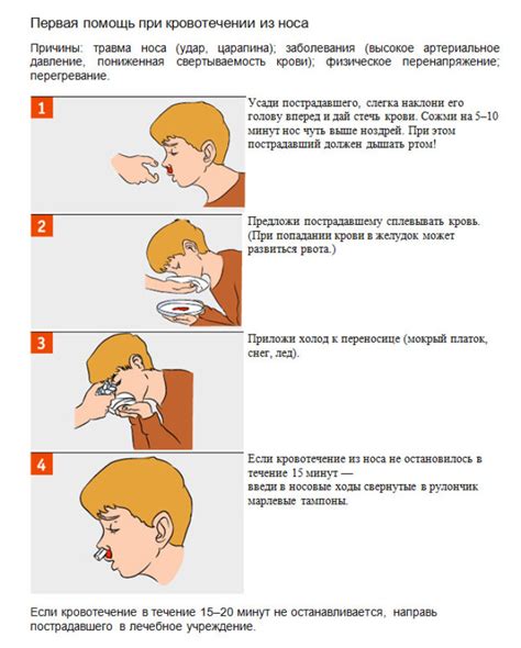 Получить быструю помощь от синего носа