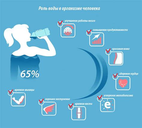 Польза воды для снижения жира на животе