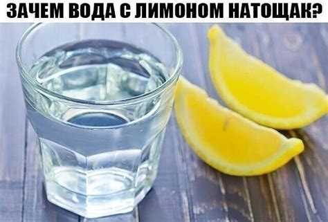 Польза воды с лимоном для кошек