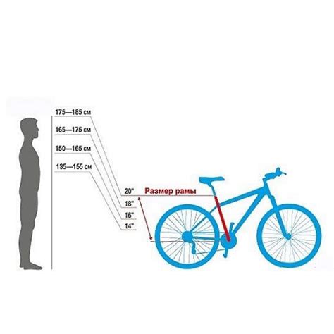 Польза выбора правильного размера велосипеда