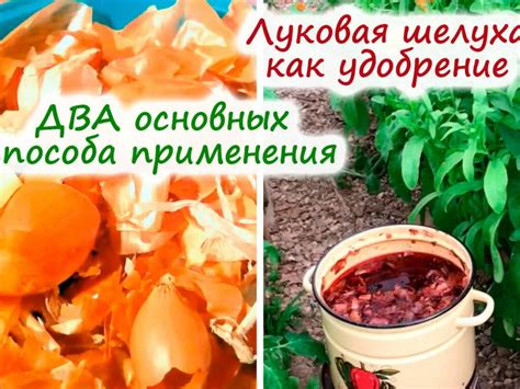 Польза заваренной луковой шелухи в косметологии