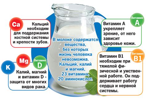 Польза молока для мейн-кунов