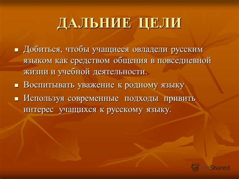 Пользование русским языком в повседневной жизни