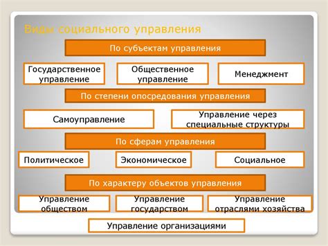 Поляки и государственное управление