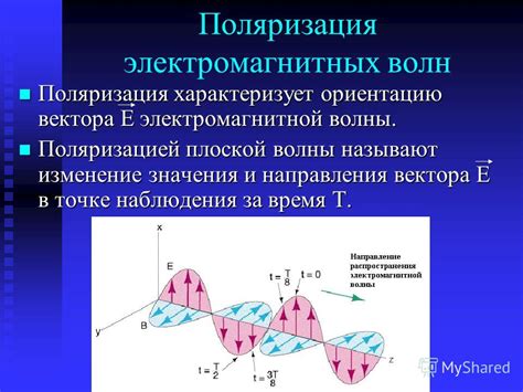 Поляризация и изменение цвета окаменелостей: