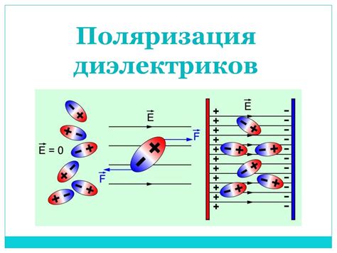 Поляризация правительства