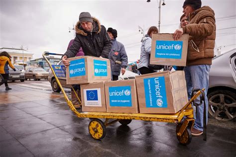 Помощь переселенцам ООН: важность и особенности