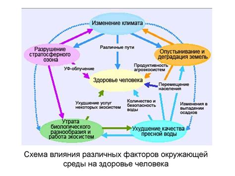 Понаследственность и среда: взаимосвязь и влияние на появление гнойников