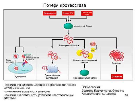 Понижение эффективности белков