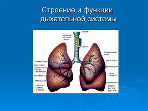 Понижение эффективности дыхательной системы