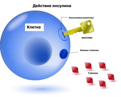 Пониженный уровень глюкозы: причины и последствия