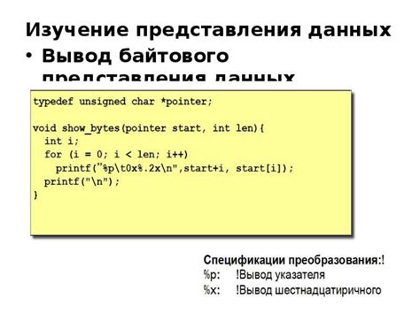 Понимание байтового представления данных