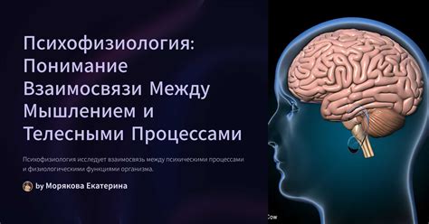 Понимание взаимосвязи между случайностями и закономерностями в науках