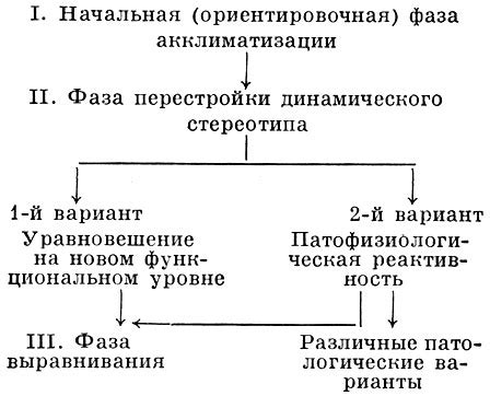 Понимание процесса акклиматизации