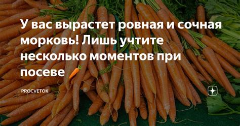 Понравилась лишь несколько моментов