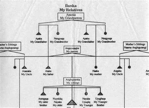 Понятие и значение родословной