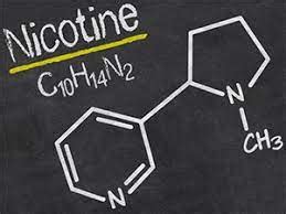 Понятие и механизм действия никотина