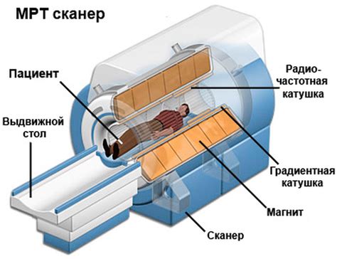 Понятие и принцип работы томографии