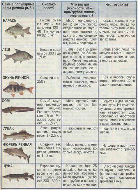 Популярные виды рыбы для готовки