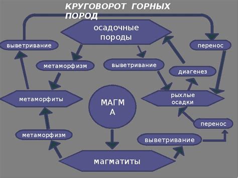 Популярные методы определения породы