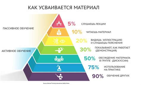 Популярные методы осушения: отработанные советы