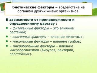 Поражающий животных яд школьного принадлежности. Повышенное обжигающее воздействие