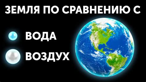 Поразительные факты о жизни на земле