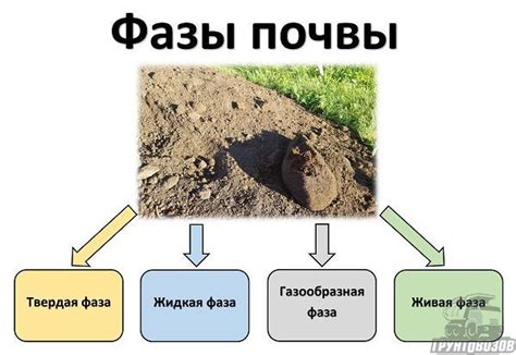 Пористость почвы: способы улучшения и результаты