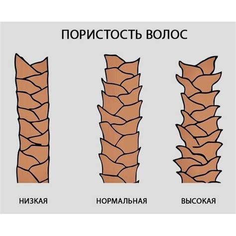 Пористые материалы: что это и как они связаны с теплопроводностью?