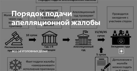 Порядок подачи апелляционной жалобы