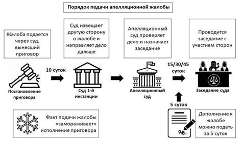 Порядок подачи апелляционной жалобы в суд