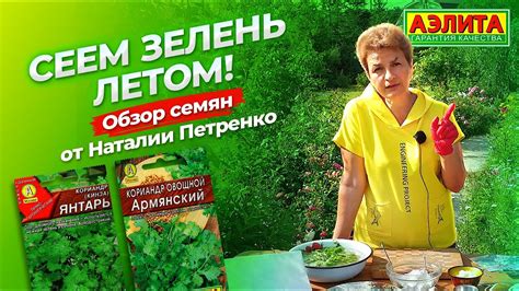 Посев кинзы