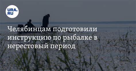 Посещение реки или озера во время нереста: правила и рекомендации