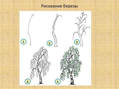 Последовательность рисования полей различных размеров