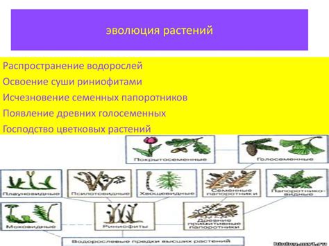 Последовательность этапов в создании металлоискателя