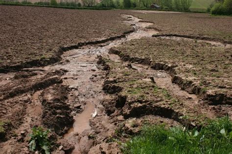 Последствия водной эрозии