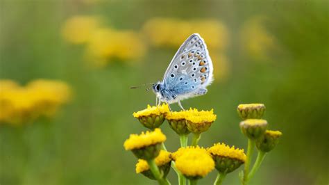 Последствия для экосистемы