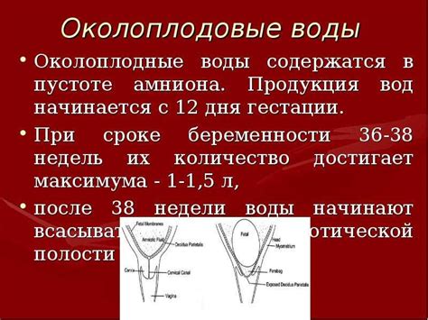 Последствия игнорирования схваток после прокола пузыря