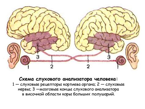 Последствия недостаточности вестибулярной системы