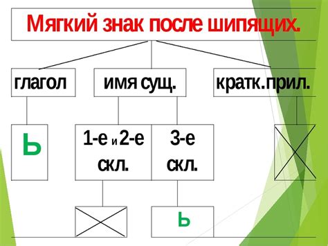 Последствия неправильного использования мягкого знака в глаголах