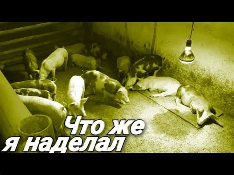 Последствия неправильного кормления