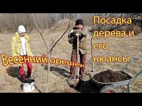 Последствия неправильного написания орешека