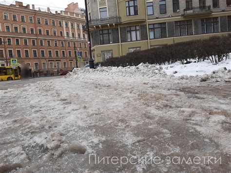 Последствия нерасчищенных дорожек