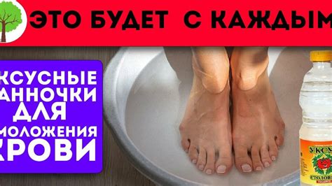 Последствия употребления щенками сырой воды